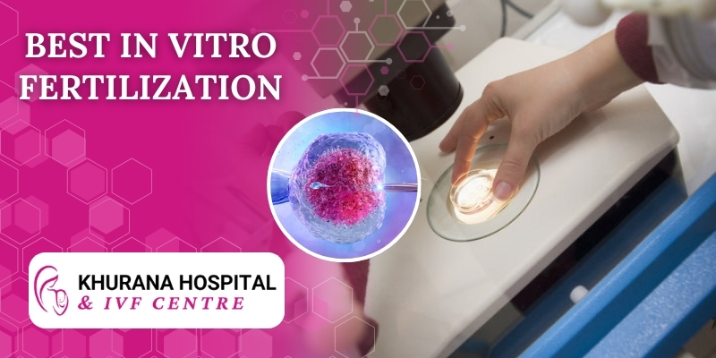 In Vitro Fertilization (IVF)